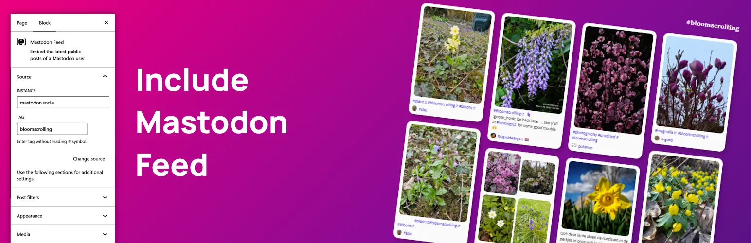 Banner showing the Include Mastodon Feed plugin name and a sample embedded feed.